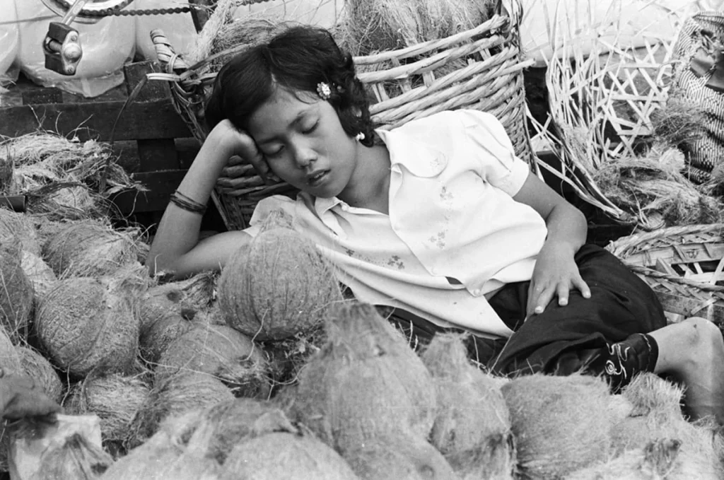 photo hanoi 25 biennale công bố những mảnh ghép thời kỳ tái thiết hình ảnh 2